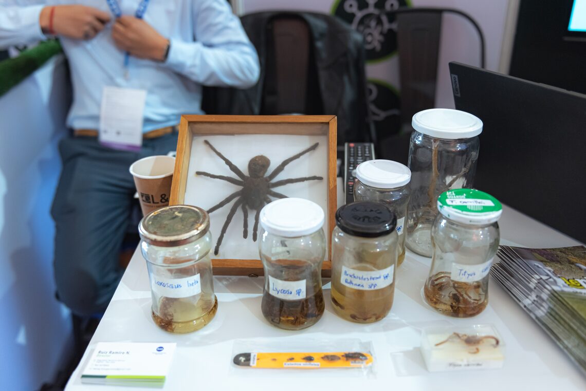 LePlag en Expo San Juan Minera 2026 - 8
